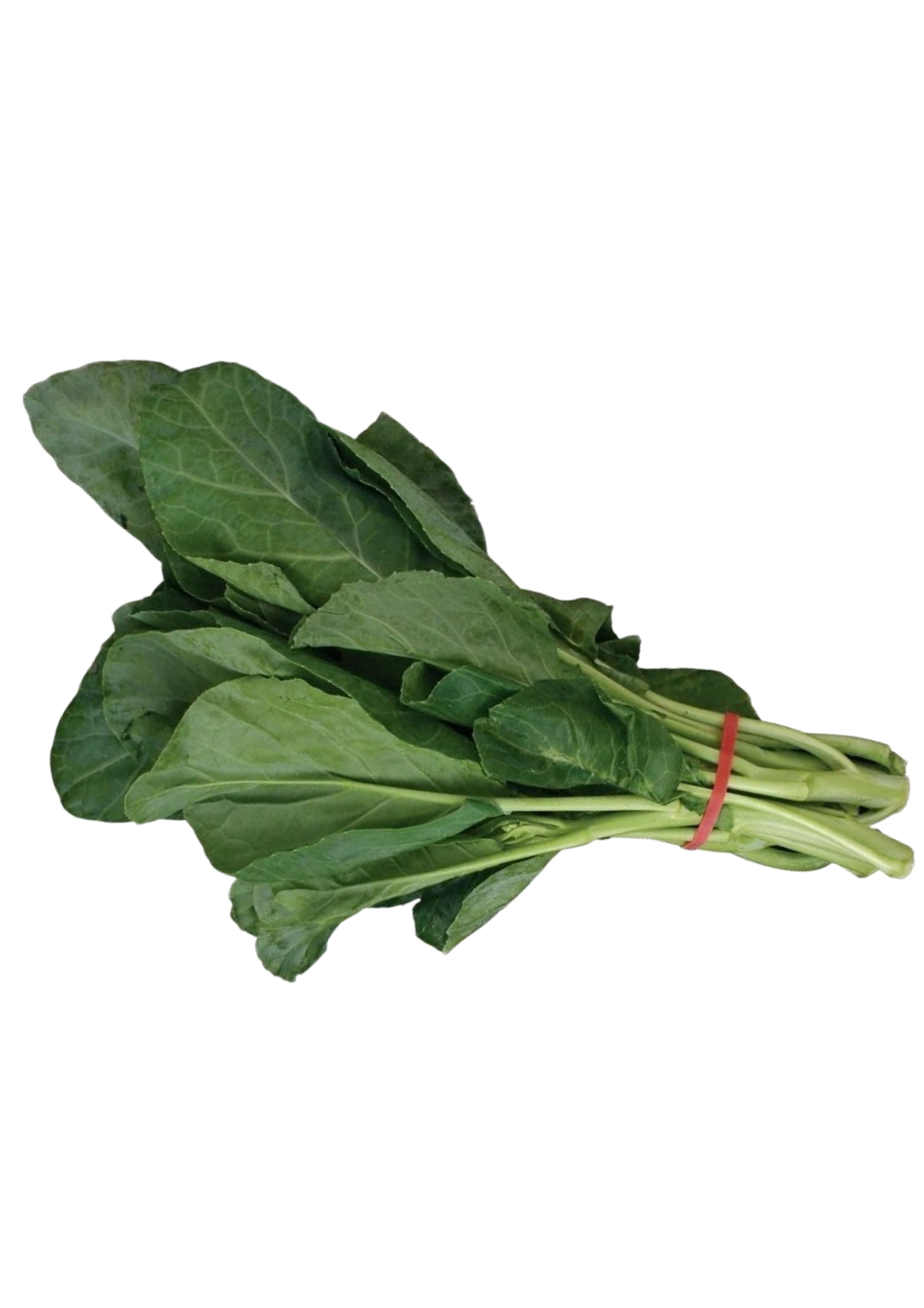 Grøntsager